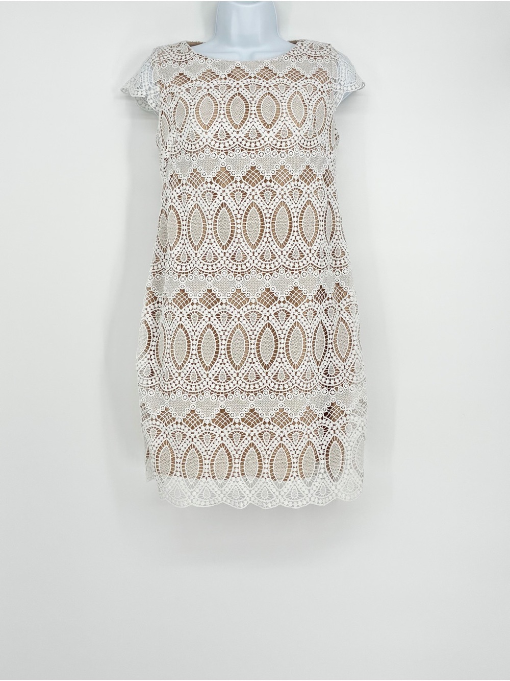 Eliza J White Medallion Lace Overlay Sheath Dress White Nude 2P - Picture 5 of 10